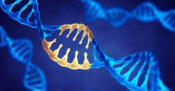 Methods for Labeling Nucleic Acids